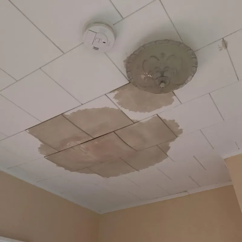 Ceiling Water Damage Repair in Fort Bragg, NC