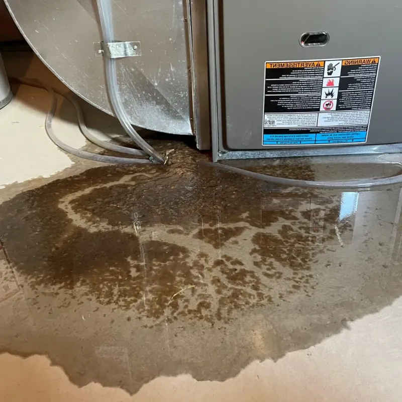 Pipe Burst and Leak Restoration in Fort Bragg, NC